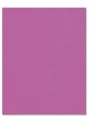 Hilroy Bristol Board  22''x28''  - Fluorescent Pink