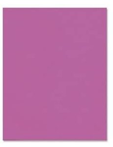 Hilroy Bristol Board  22''x28''  - Fluorescent Pink