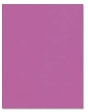 Hilroy Bristol Board  22''x28''  - Fluorescent Pink