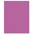 Hilroy Bristol Board  22''x28''  - Fluorescent Pink