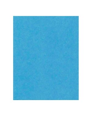 Hilroy Bristol Board 22"x 28" - Light Blue