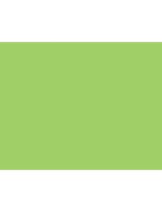 Hilroy Bristol Board 22"x 28" - Light Green