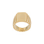 Signore Rectangular Signet Ring