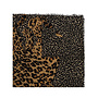 Leopard Printed Scarf