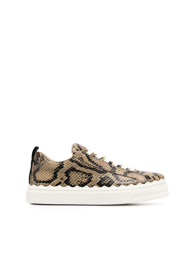 Low Top Sneakers in Snake Print Leather in Dark Greige