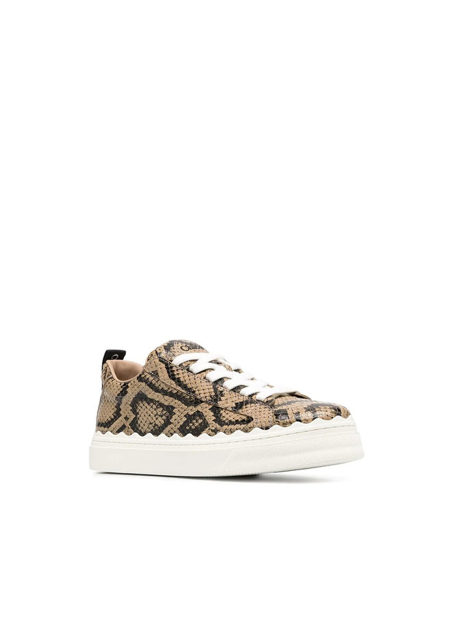 Low Top Sneakers in Snake Print Leather in Dark Greige