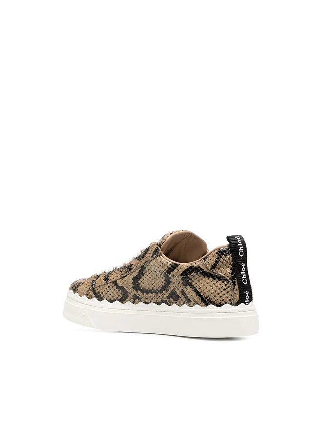 Low Top Sneakers in Snake Print Leather in Dark Greige