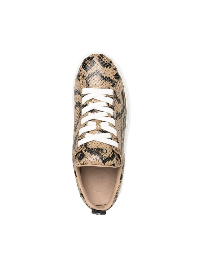 Low Top Sneakers in Snake Print Leather in Dark Greige