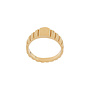 Medium Signore Signet Ring in Gold