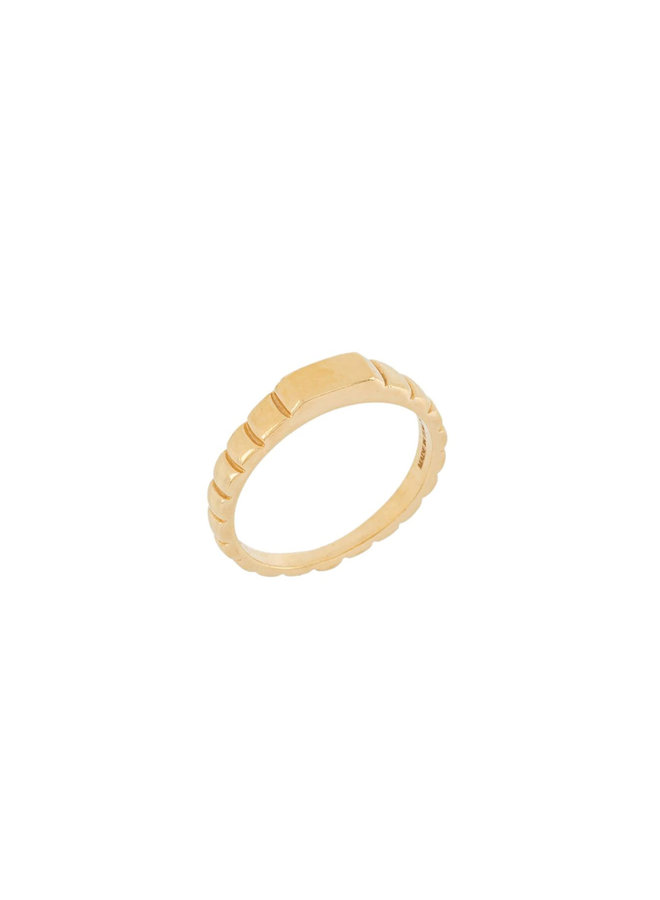 Skinny Signore Signet Ring in Gold