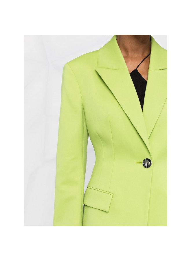 Single Breasted Blazer Jacket in Pistache