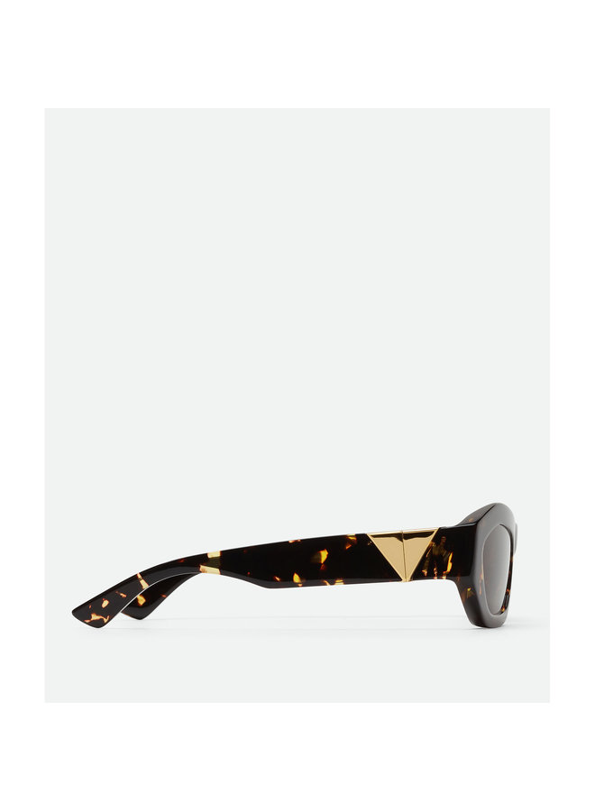 Round Frame Sunglasses in Havana Brown