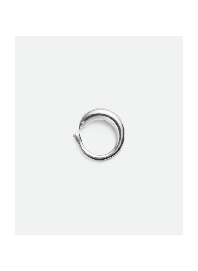 Sardine Shape Ring in Silver