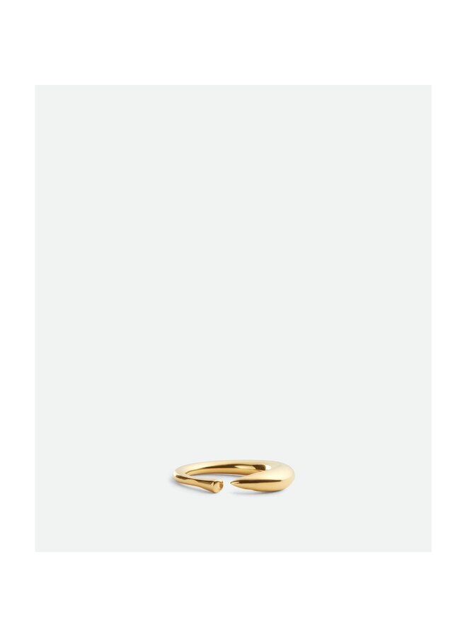 Sardine Shape Ring in Gold