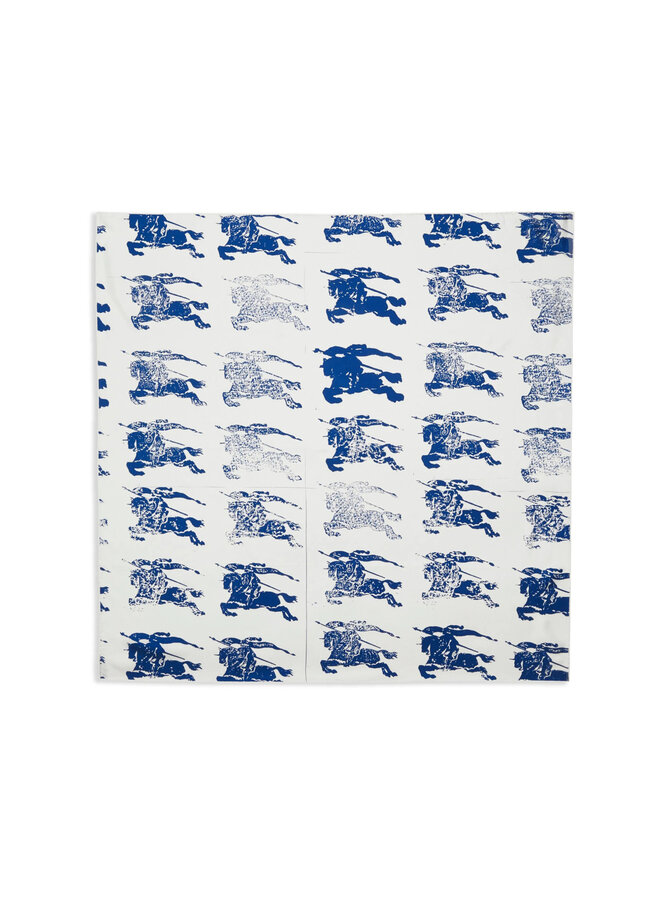 Knight Printed Scarf in Blue