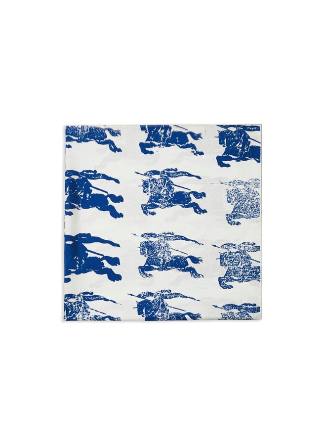 Knight Printed Scarf in Blue