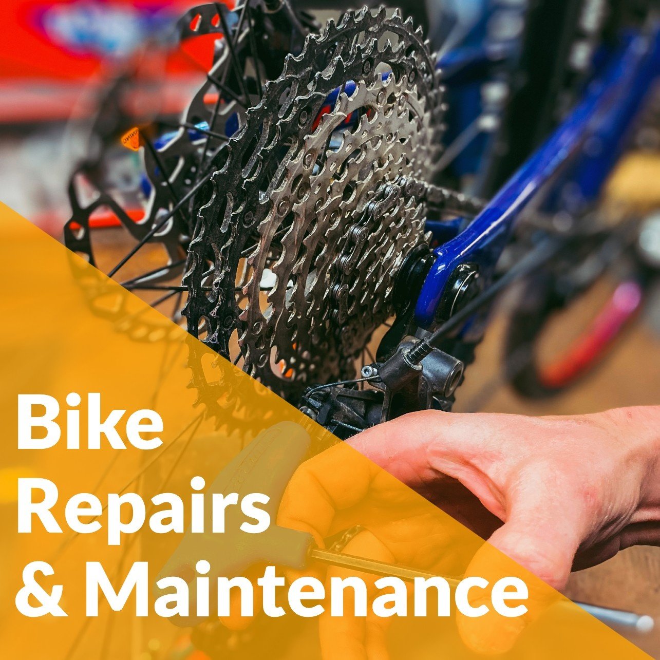 Bike Repair Lessons