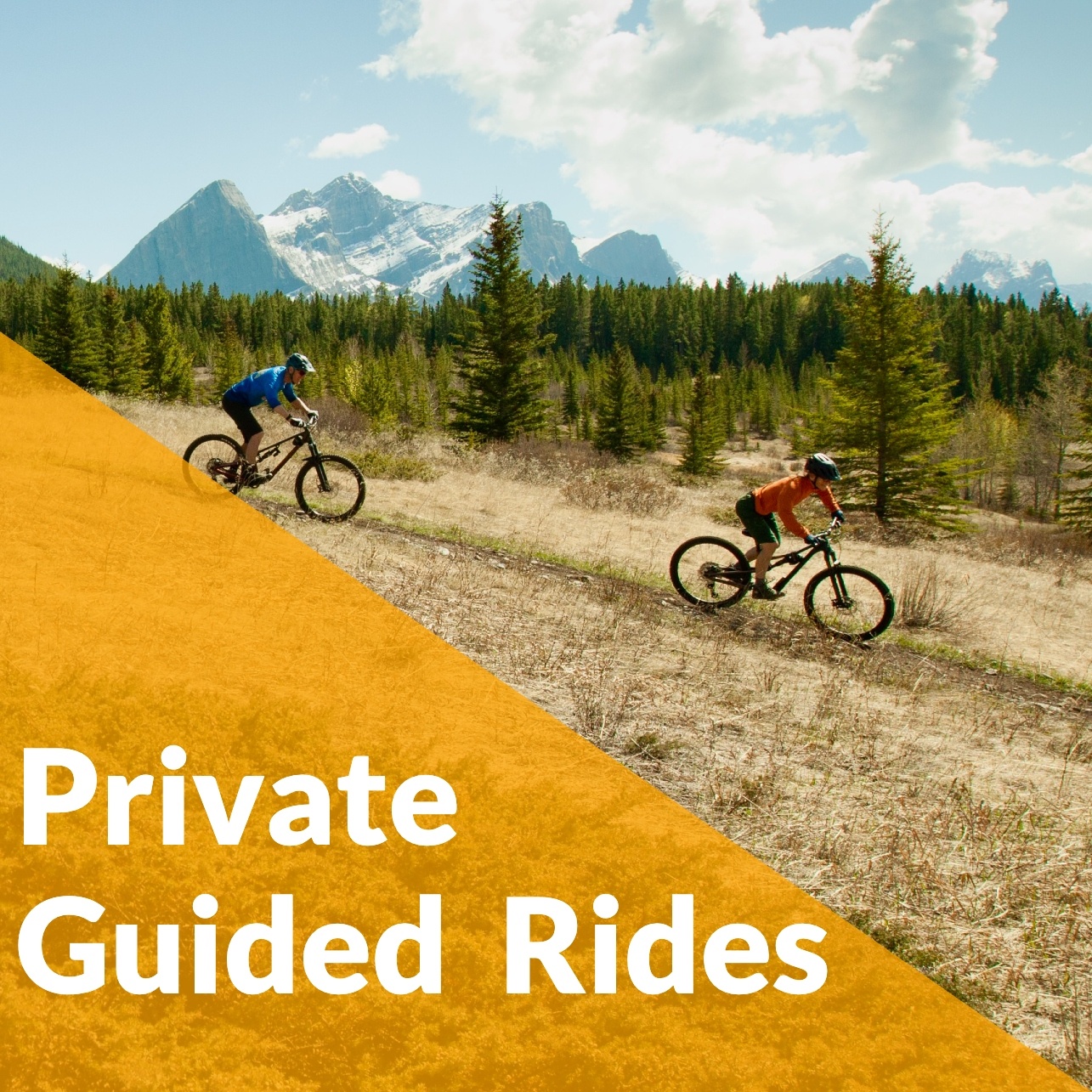Guided Rides