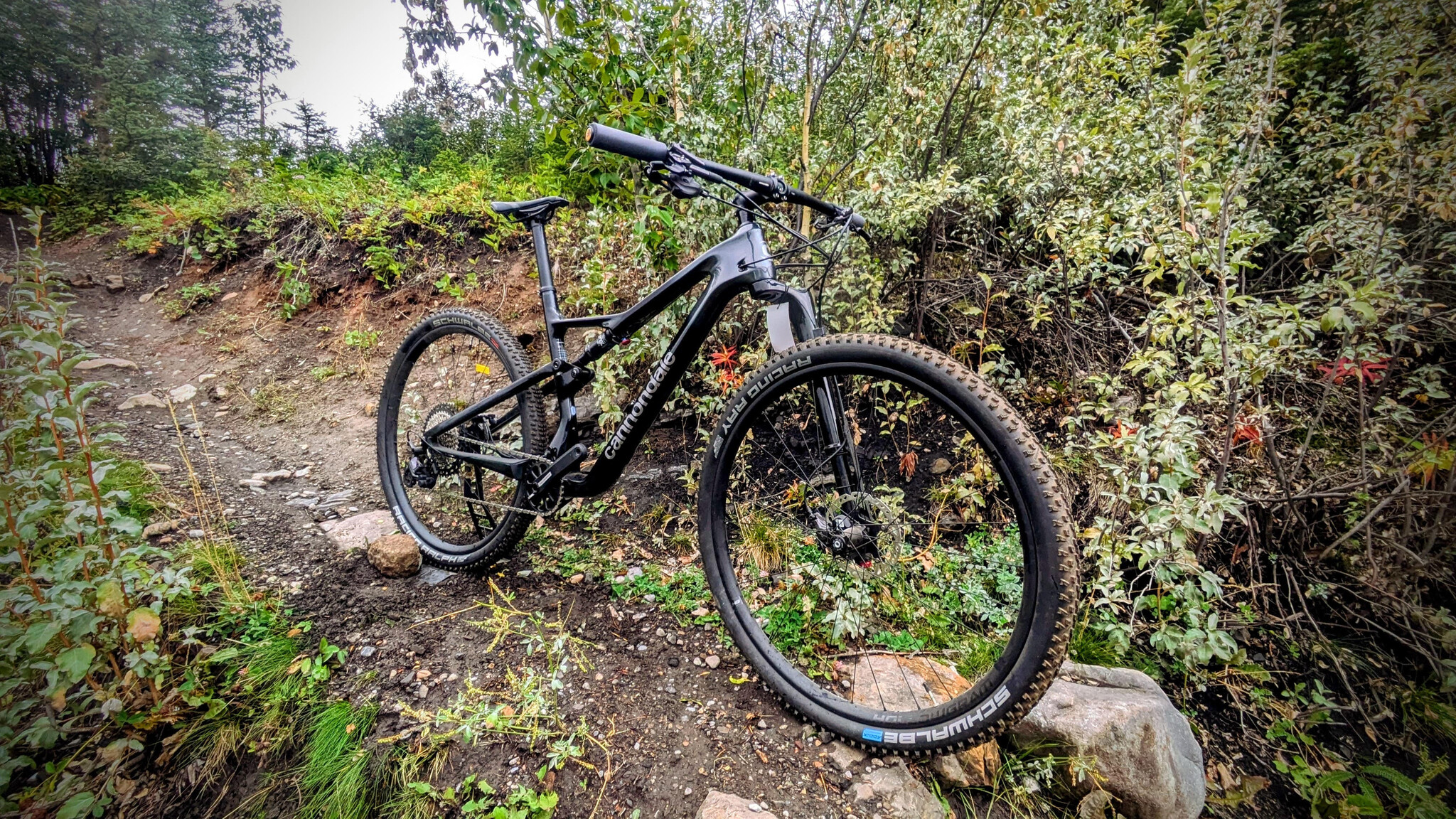 Cannondale - Scalpel Carbon 2