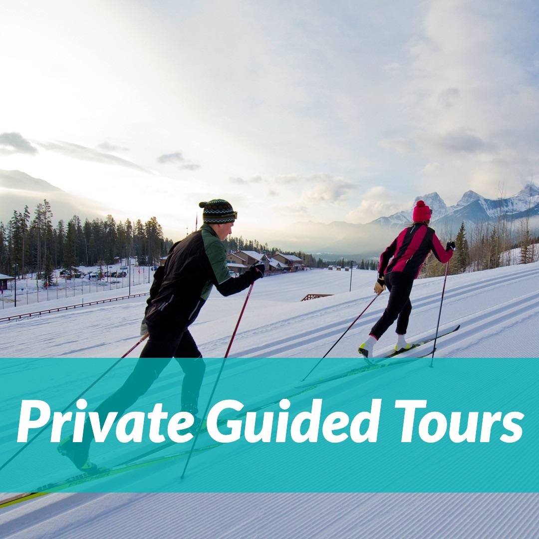 Guided Tours