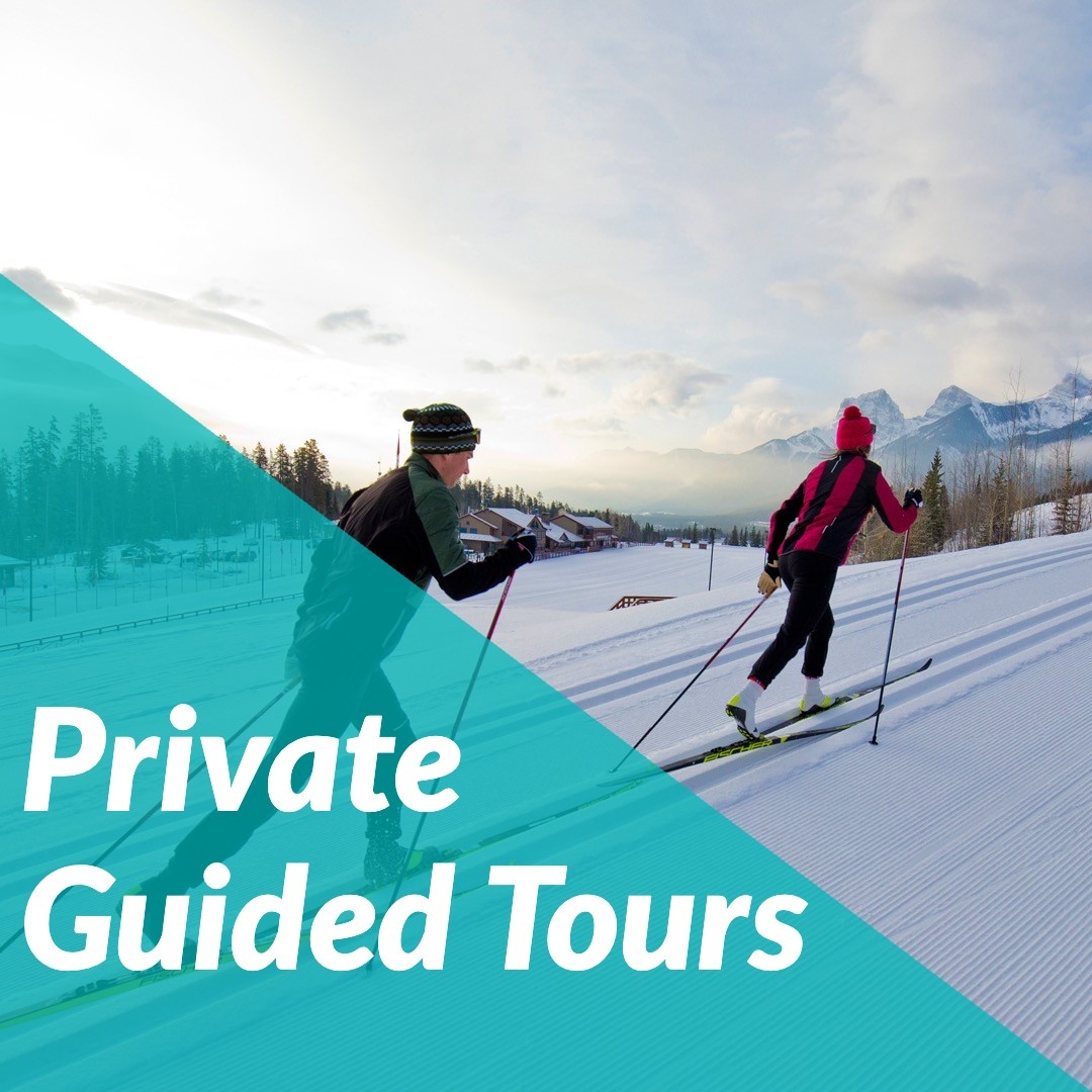 Guided Tours