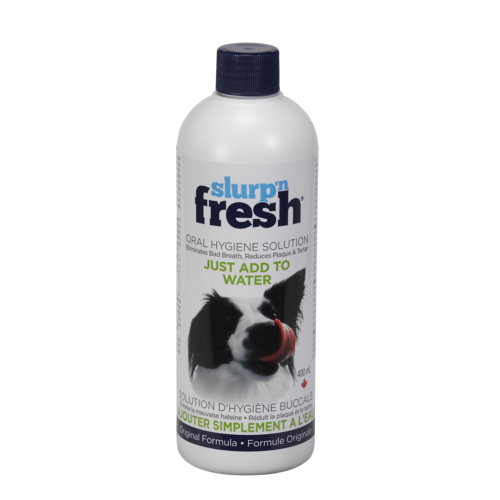 Envirofresh Slurp'N Fresh Dog Oral Hygiene Water Additive 400ml Envirofresh Slurp'N Fresh Dog Oral Hygiene Water Additive 400ml