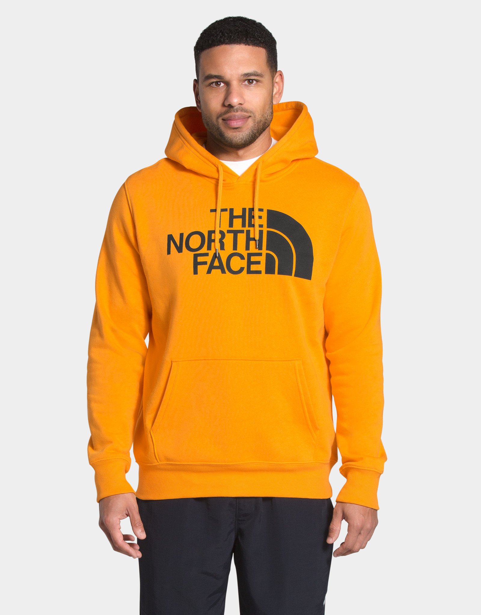 the north face men's half dome pullover hoodie