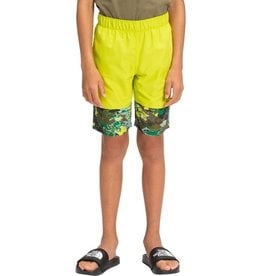 The North Face The North Face Boy's Class V watershort