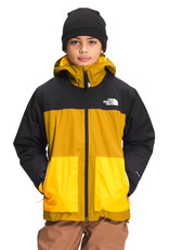 The North Face The North Face Boy's Freedom Triclimate® -W2022