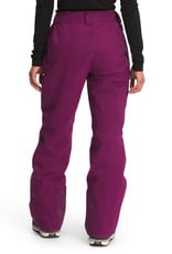 The North Face The North Face Women's Freedom Insulated Pant -W2022