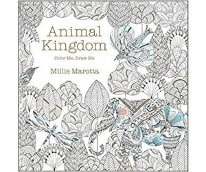 Download Animal Kingdom Coloring Book The Bag Lady Intuitive Gifts