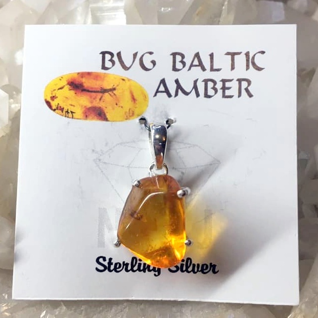 PENDANT BUG BALTIC AMBER