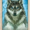 DECK SECRET LANGUAGE OF ANIMALS ORACLE BY CHIP RICHARDS