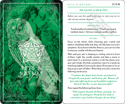 DECK WICCAPEDIA SPELL DECK BY LEANNA GREENAWAY, SHAWN ROBBINS, CHARITY BEDELL