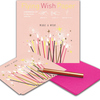 FLYING WISH PAPER MINI KIT W/ 15 WISHES & ACCESSORIES, MAKE A WISH BIRTHDAY