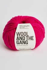 Wool and the Gang Crazy Sexy Wool