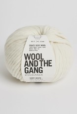 Wool and the Gang Crazy Sexy Wool