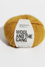 Wool and the Gang Crazy Sexy Wool