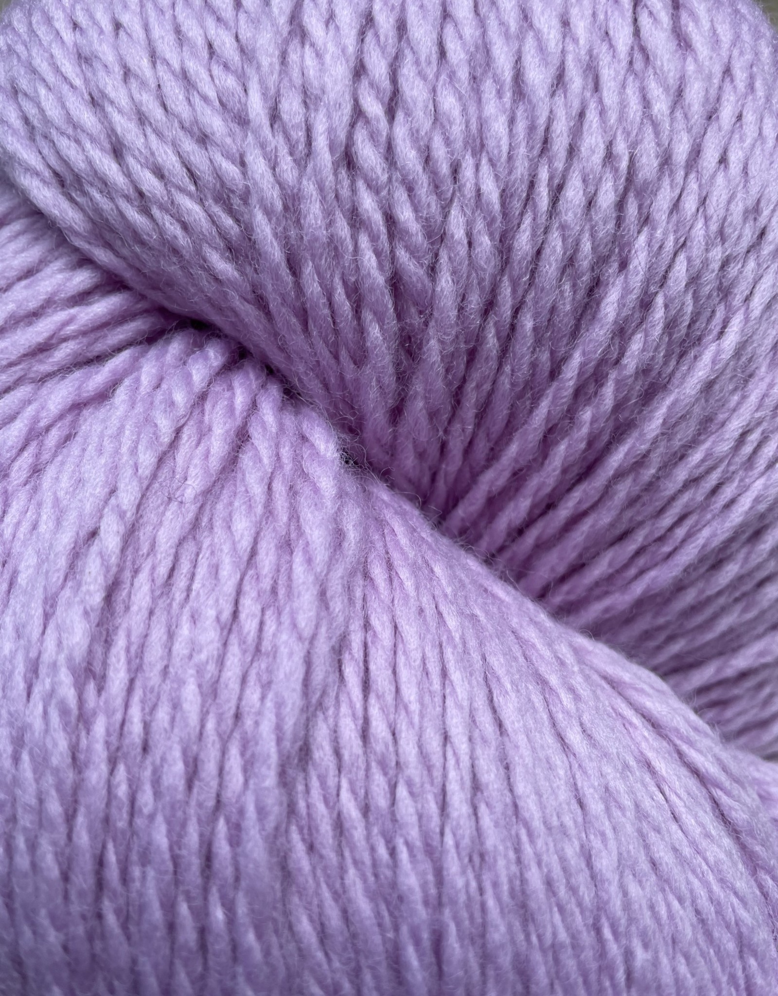 Cascade Yarns Eco Wool 2