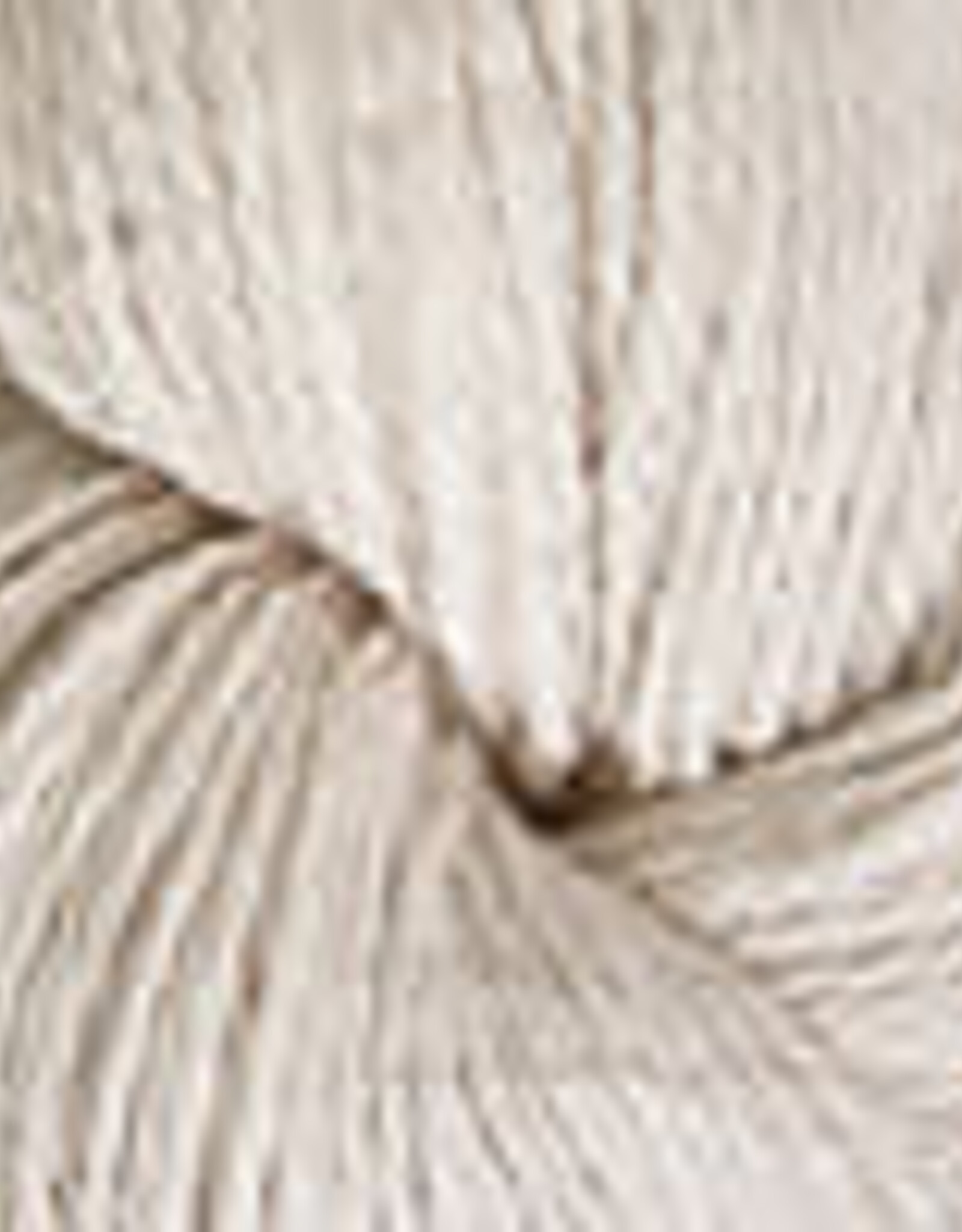 Cascade Yarns Eco Wool 2