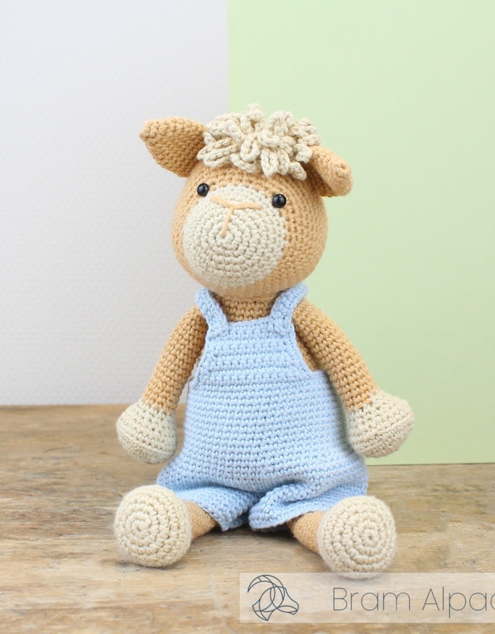 Hardicraft DIY Crochet Kit