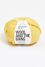 Wool and the Gang Crazy Sexy Wool