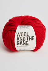 Wool and the Gang Crazy Sexy Wool