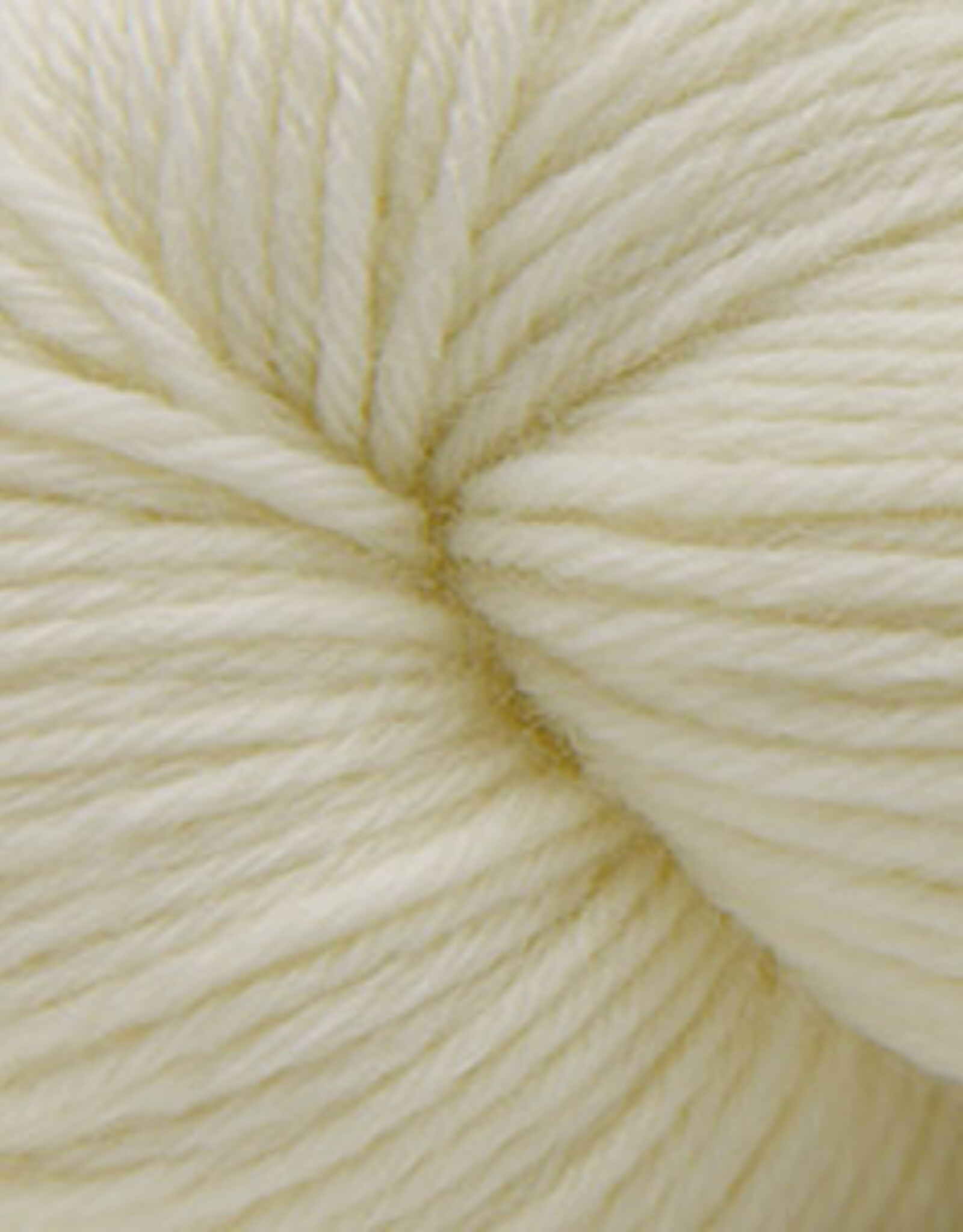 Cascade Yarns Cascade Heritage 6