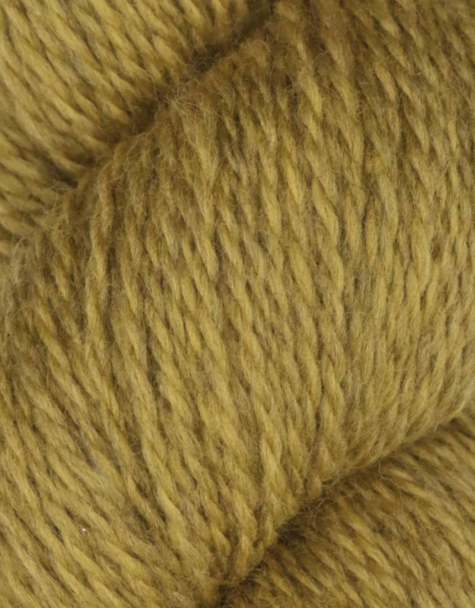 Juniper Moon Rambouillet