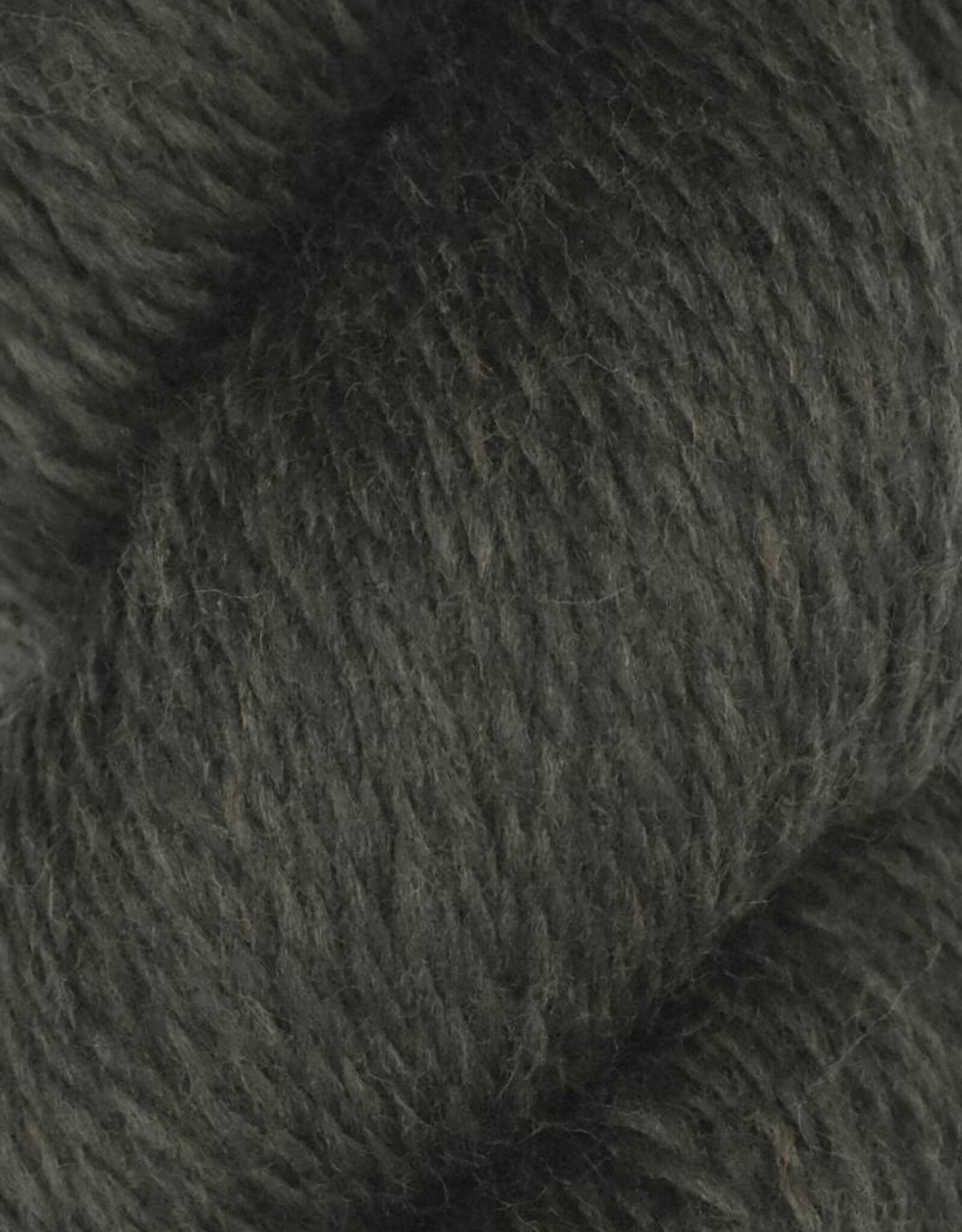 Juniper Moon Rambouillet