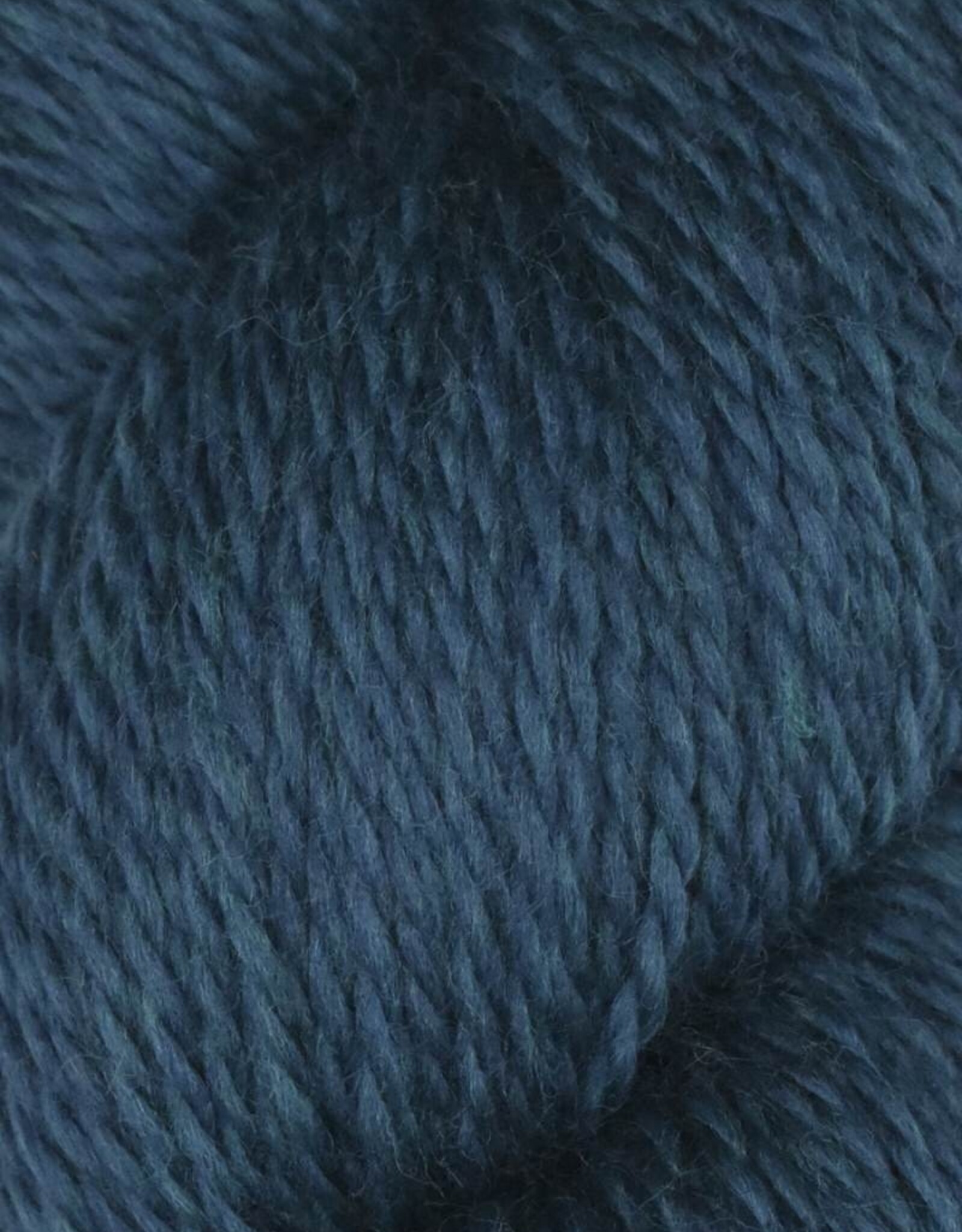 Juniper Moon Rambouillet