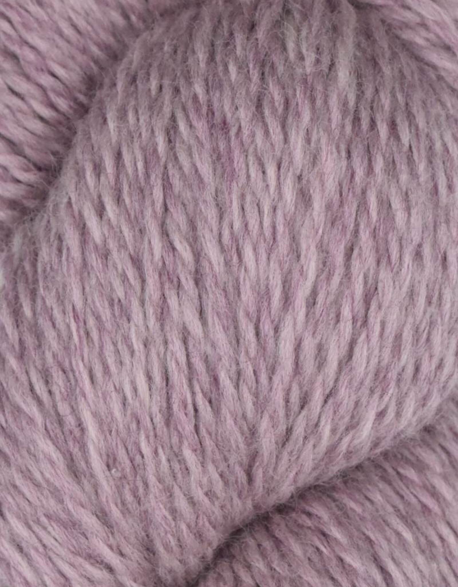 Juniper Moon Rambouillet