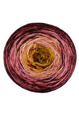 Malabrigo Metamorphosis Sock Cake