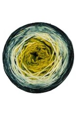 Malabrigo Metamorphosis Sock Cake